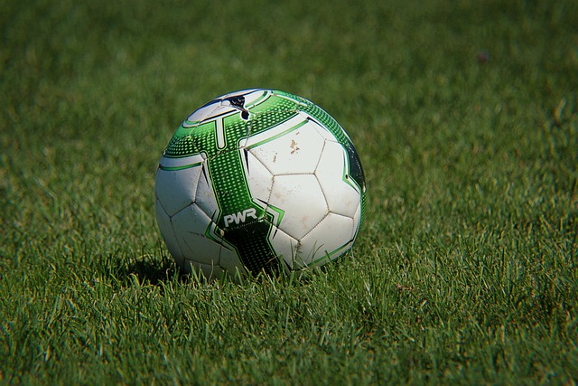Kostenloser Download Ball Puma Fußball grünes Gras kostenloses Bild, das mit dem kostenlosen Online-Bildeditor GIMP bearbeitet werden kann
