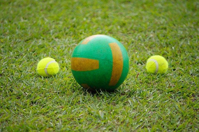 دانلود رایگان Balls Ball Grass - عکس یا تصویر رایگان برای ویرایش با ویرایشگر تصویر آنلاین GIMP