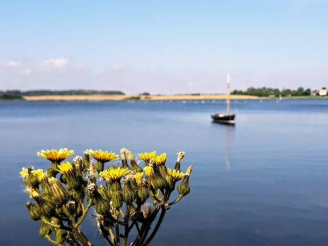 Scarica gratuitamente Baltic Sea Boat Water: foto o immagine gratuita da modificare con l'editor di immagini online GIMP