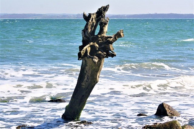 Muat turun percuma Baltic Sea Brodtener Steep Shore - foto atau gambar percuma untuk diedit dengan editor imej dalam talian GIMP