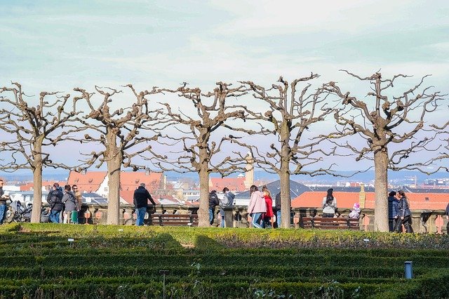 Free download Bamberg New Residence Rose Garden -  free photo or picture to be edited with GIMP online image editor