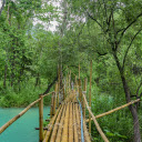 Bamboo bridge  screen for extension Chrome web store in OffiDocs Chromium