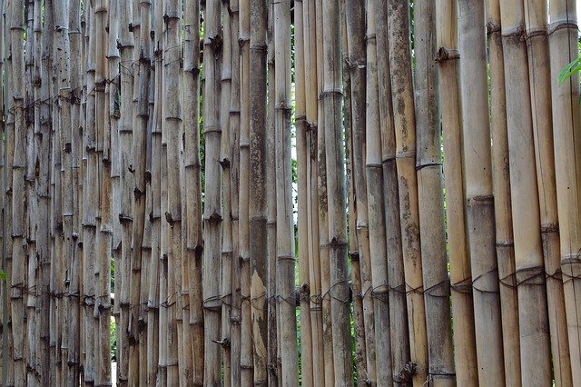 Unduh gratis Bamboo Fence Barrier - foto atau gambar gratis untuk diedit dengan editor gambar online GIMP
