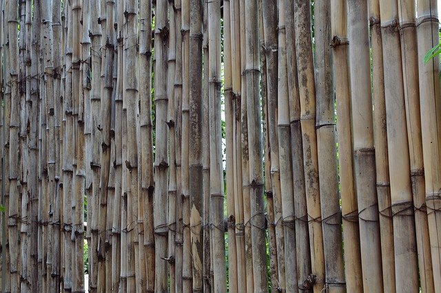 Bamboo Fence Barrier - download gratuito de fotos ou imagens gratuitas para serem editadas com o editor de imagens online GIMP