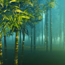 Bamboo Forest in Mist  screen for extension Chrome web store in OffiDocs Chromium