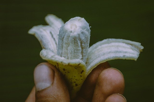 Free download Banana Fruit Macro -  free photo or picture to be edited with GIMP online image editor
