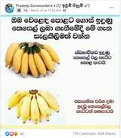 Free download banana_iwumpihum free photo or picture to be edited with GIMP online image editor