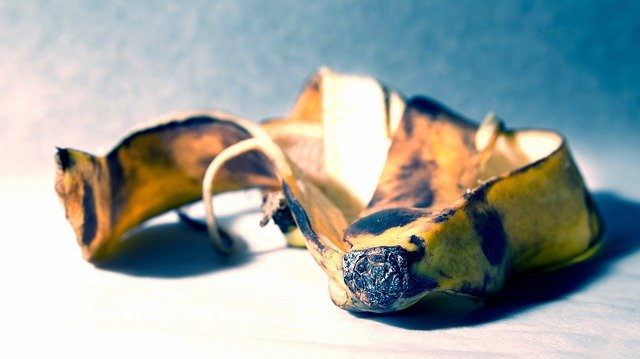 Download gratuito Banana Shell Fruits - foto o immagine gratuita da modificare con l'editor di immagini online di GIMP