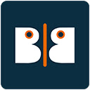 Bandyer Corporate Screensharing Widget  screen for extension Chrome web store in OffiDocs Chromium