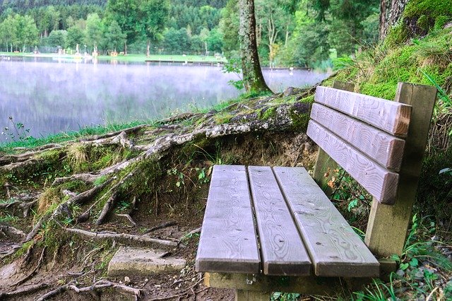 Скачать бесплатно Bank Lake Wooden Bench - бесплатное фото или изображение для редактирования с помощью онлайн-редактора изображений GIMP