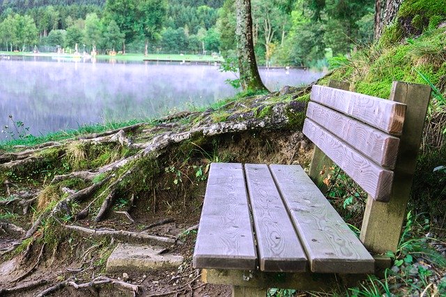 Descarga gratuita Bank Lake Wooden Bench - foto o imagen gratuita para editar con el editor de imágenes en línea GIMP