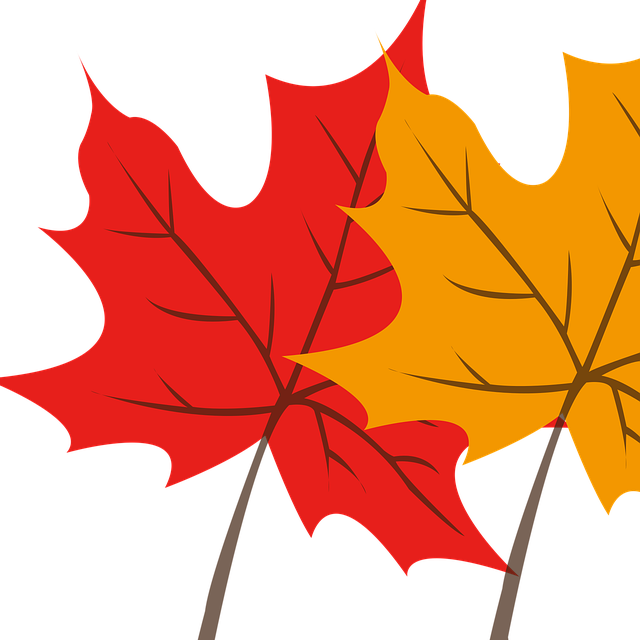 Free download Bank Leaves Autumn - Free vector graphic on Pixabay free illustration to be edited with GIMP free online image editor