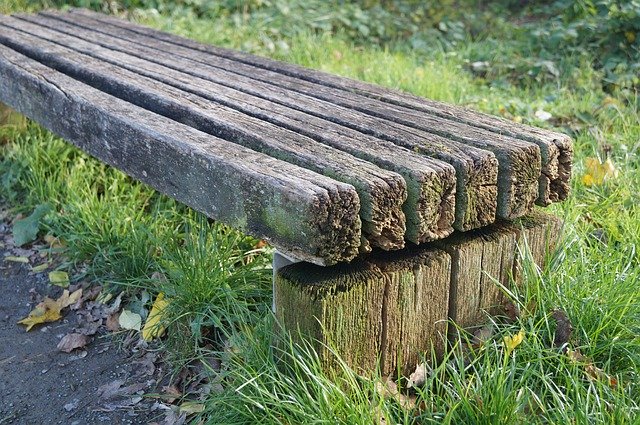 Free download Bank Nature Decay -  free photo or picture to be edited with GIMP online image editor