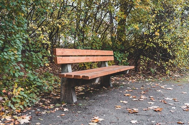 Free picture Bank Park Bench -  to be edited by GIMP free image editor by OffiDocs