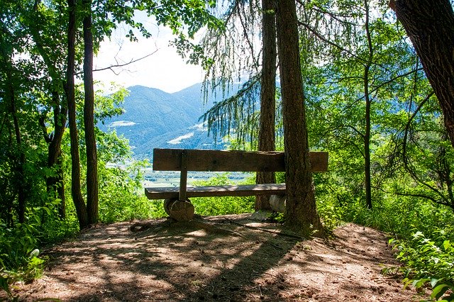 Bezpłatne pobieranie Bank View Forest - bezpłatne zdjęcie lub obraz do edycji za pomocą internetowego edytora obrazów GIMP