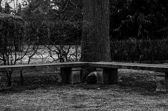 Free download Bank Wooden Bench free photo template to be edited with GIMP online image editor