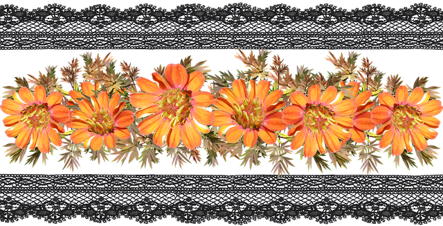 Free download Banner Border Flowers -  free illustration to be edited with GIMP online image editor