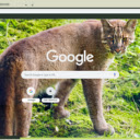 Bao lua  screen for extension Chrome web store in OffiDocs Chromium