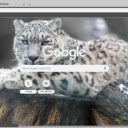 Bao trang Bac Cuc  screen for extension Chrome web store in OffiDocs Chromium