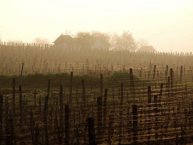 Free download Baranya Villány Cellar -  free photo or picture to be edited with GIMP online image editor