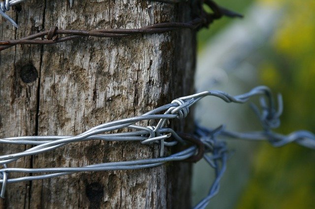 Free picture Barbed Wire Fence Post -  to be edited by GIMP free image editor by OffiDocs