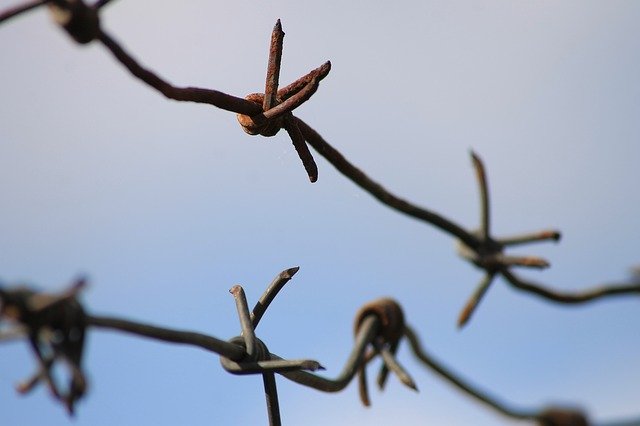 Free download Barbed Wire Fence Protection -  free photo or picture to be edited with GIMP online image editor