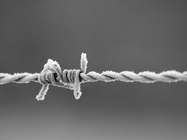 Free download barbed wire ice winter frost cold free picture to be edited with GIMP free online image editor