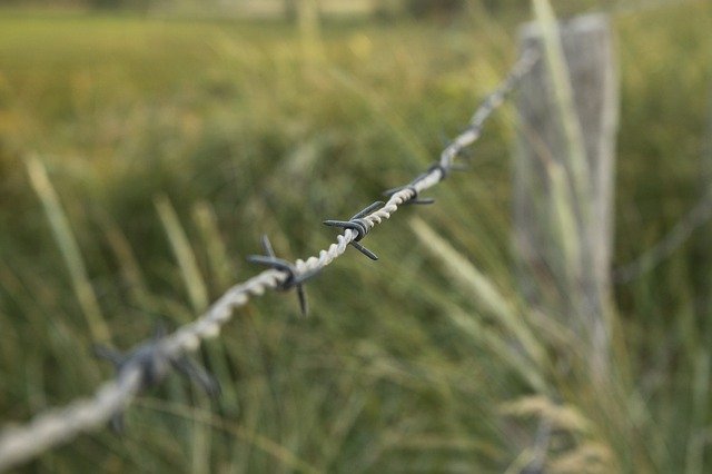 Free picture Barbed Wire Meadow Barrier -  to be edited by GIMP free image editor by OffiDocs