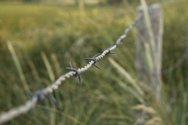 Unduh gratis Barbed Wire Meadow Barrier - foto atau gambar gratis untuk diedit dengan editor gambar online GIMP