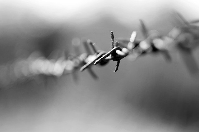 Free download barbed wire metal fe fence wire free picture to be edited with GIMP free online image editor