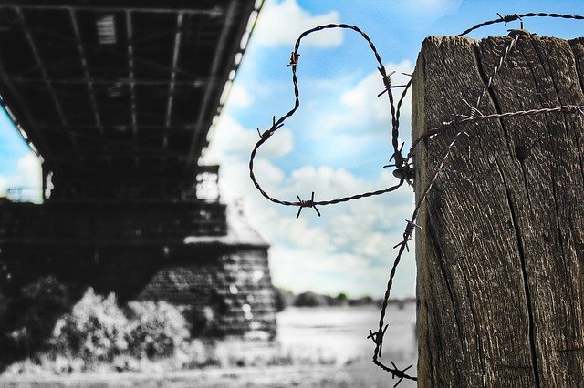 Free picture Barbed Wire Old -  to be edited by GIMP free image editor by OffiDocs