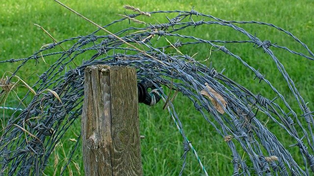 ດາວ​ໂຫຼດ​ຟຣີ Barbed Wire Role Metal - ຮູບ​ພາບ​ຟຣີ​ຫຼື​ຮູບ​ພາບ​ທີ່​ຈະ​ໄດ້​ຮັບ​ການ​ແກ້​ໄຂ​ກັບ GIMP ອອນ​ໄລ​ນ​໌​ບັນ​ນາ​ທິ​ການ​ຮູບ​ພາບ​