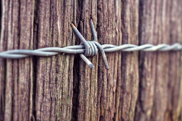 Free download Barbed Wire Wood Fence -  free photo or picture to be edited with GIMP online image editor