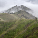 Bare hills and clouds and mist  screen for extension Chrome web store in OffiDocs Chromium