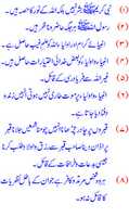 Free download Barelviyo Ke Faasiq Aur Gumrah Kun Aqaid free photo or picture to be edited with GIMP online image editor