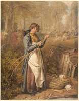 Free download Barking Timber in Wychwood Forest, Oxfordshire free photo or picture to be edited with GIMP online image editor