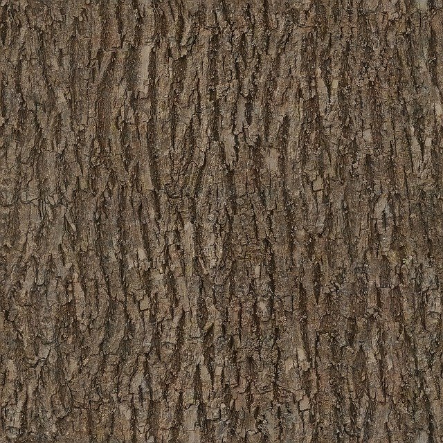 Free download bark wood tree seamless texture free picture to be edited with GIMP free online image editor
