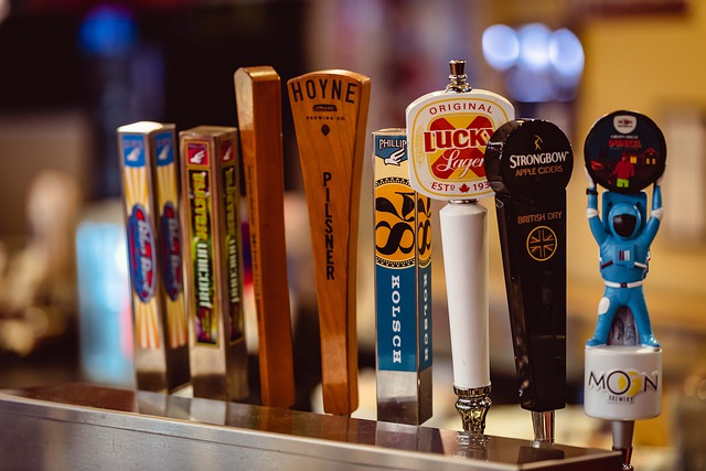 Free download bar local tap beer pub brewery free picture to be edited with GIMP free online image editor