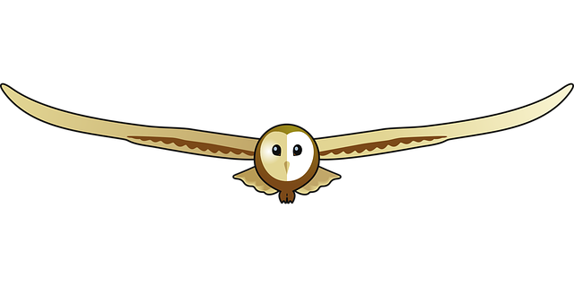 Free download Barn Owl Children - Free vector graphic on Pixabay free illustration to be edited with GIMP free online image editor
