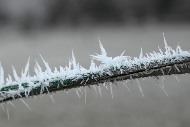 Free download barrier tape ice needles frost free picture to be edited with GIMP free online image editor