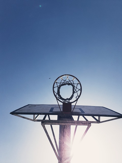 Free download basketball net sun ba summer free picture to be edited with GIMP free online image editor