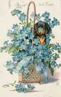 Free download Basket Forget Me Nots & Dachshund (1908) free photo or picture to be edited with GIMP online image editor