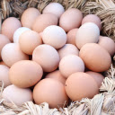 Basket of brown eggs  screen for extension Chrome web store in OffiDocs Chromium