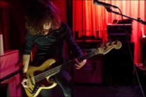 Free download Bassist free photo or picture to be edited with GIMP online image editor