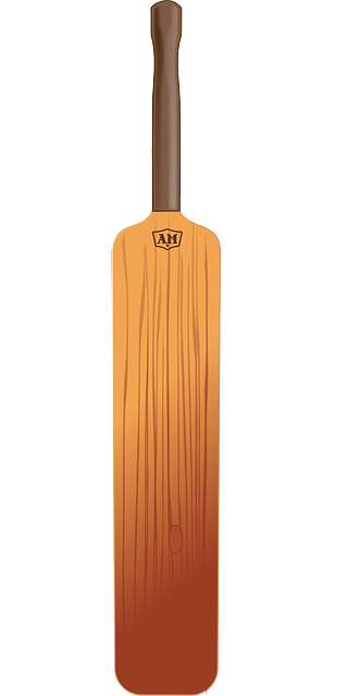 Free download Bat Cricket Equipment - Free vector graphic on Pixabay free illustration to be edited with GIMP free online image editor