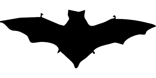 Free download Bat Dracula Silhouette - Free vector graphic on Pixabay free illustration to be edited with GIMP free online image editor