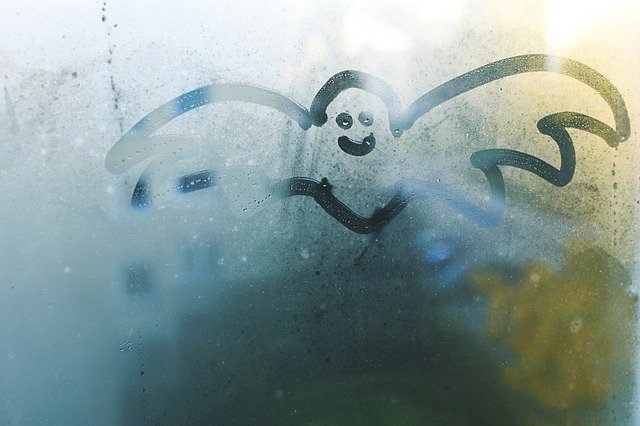 Free download Bat Halloween Colors -  free photo or picture to be edited with GIMP online image editor