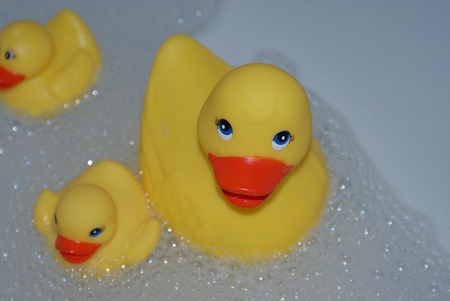 Free download Bath Duck Toy Plastic -  free photo or picture to be edited with GIMP online image editor