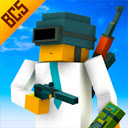 Battle Craft 3D: Shooter  screen for extension Chrome web store in OffiDocs Chromium