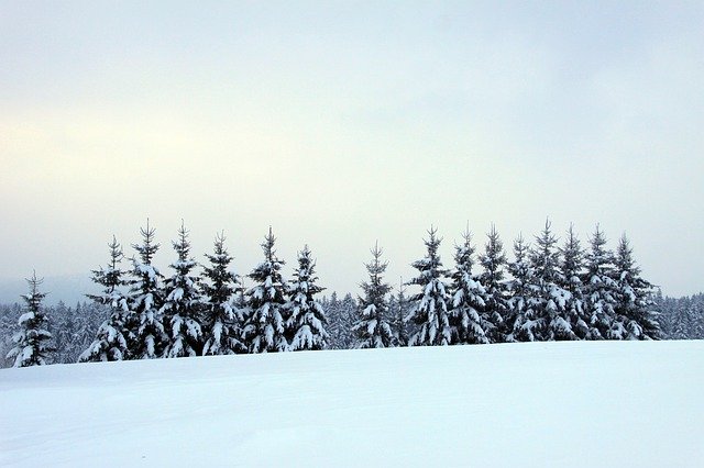 Template Photo Bavarian Forest Winter -  for OffiDocs